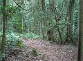 boorganna 041